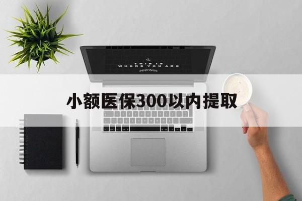 北京最新小额医保300以内提取方法分析(最方便真实的北京小额医保300以内提取中介方法)